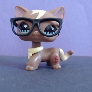 Meet your Posher, #my lps journal